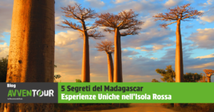 Viaggio in Madagascar